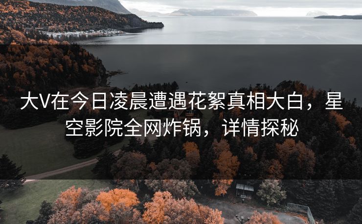 大V在今日凌晨遭遇花絮真相大白,星空影院全网炸锅,详情探秘