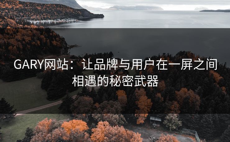 GARY网站:让品牌与用户在一屏之间相遇的秘密武器 GARY网站:让品牌与用户在一屏之间相遇的秘密武器