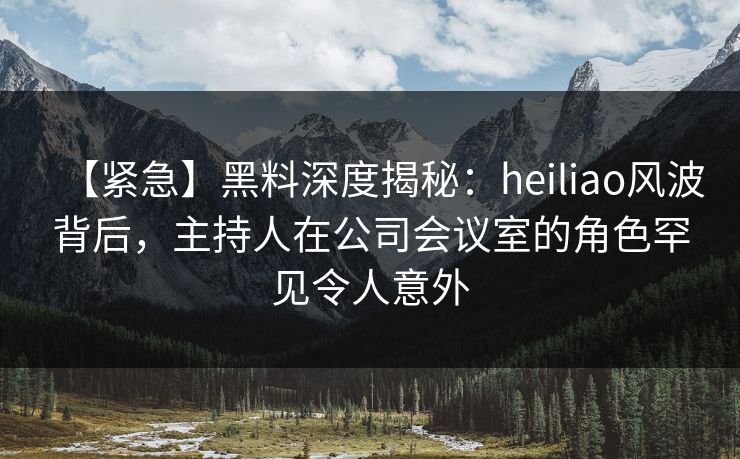 【紧急】黑料深度揭秘：heiliao风波背后，主持人在公司会议室的角色罕见令人意外